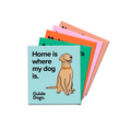 Magnets - 5 Pack
