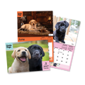 Three overlapping views of a Guide Dogs 2027 calendar featuring Labrador photos and monthly page layouts on a white background.
