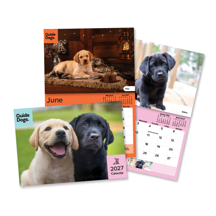 Three overlapping views of a Guide Dogs 2027 calendar featuring Labrador photos and monthly page layouts on a white background.