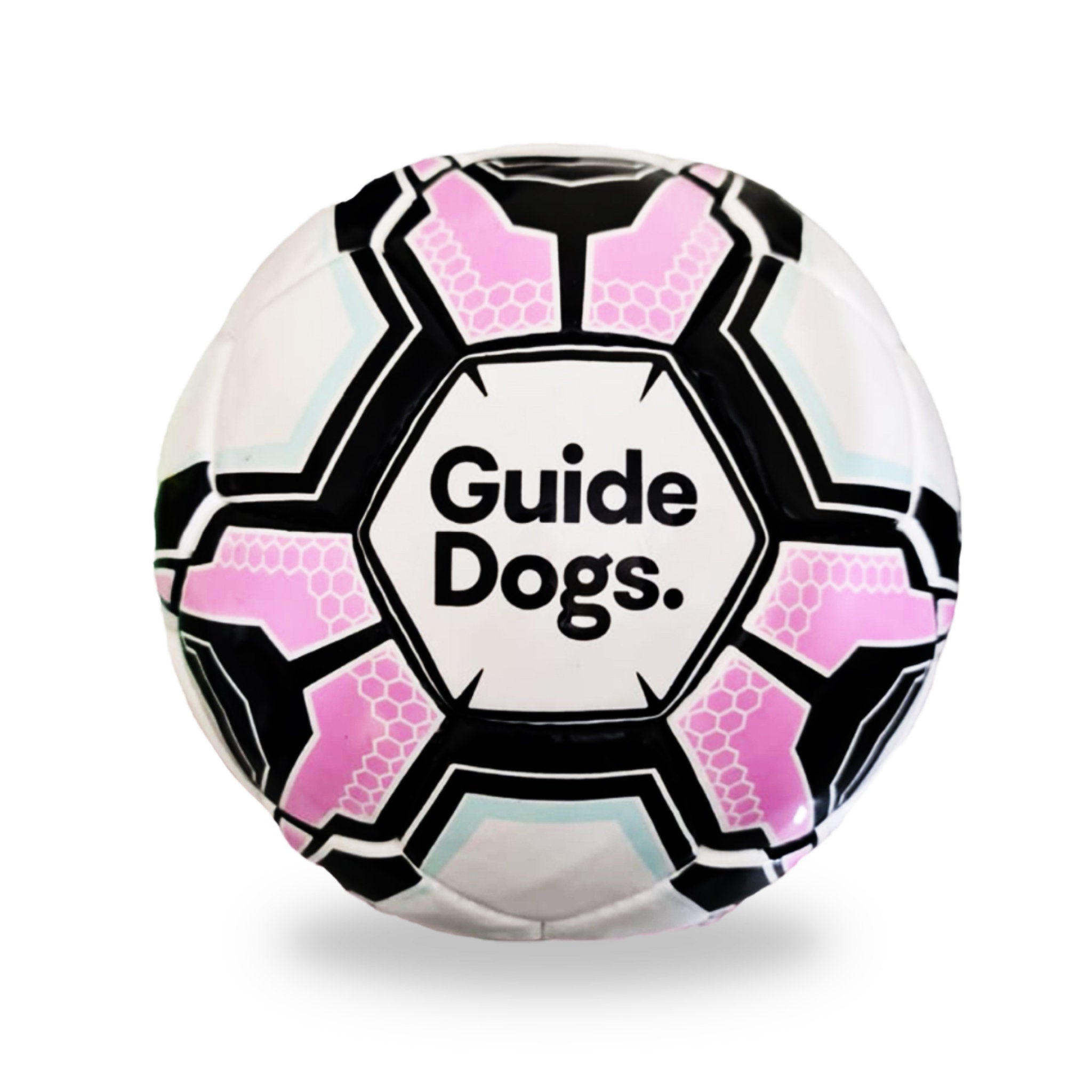 Audible Soccer Ball