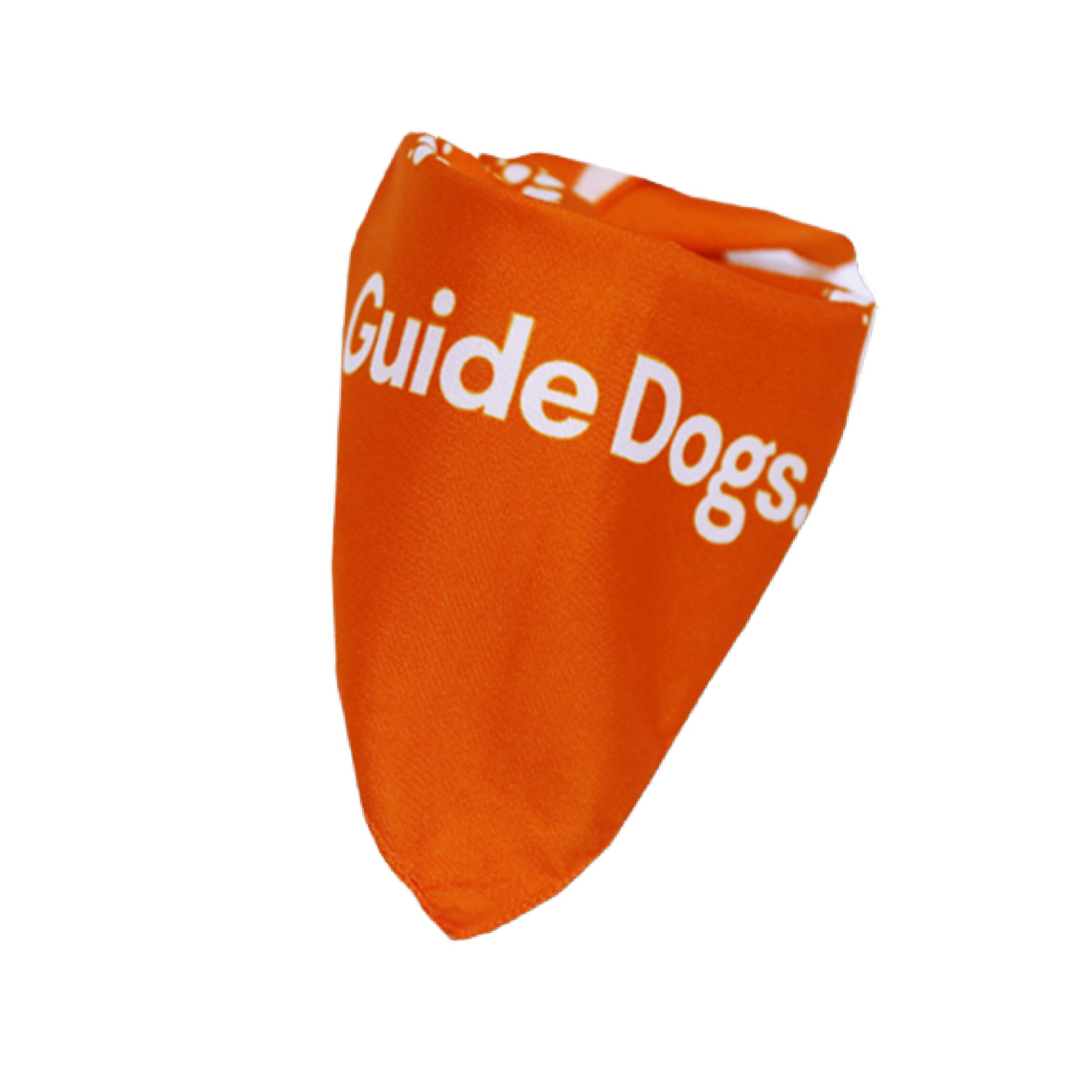 Pet Bandana