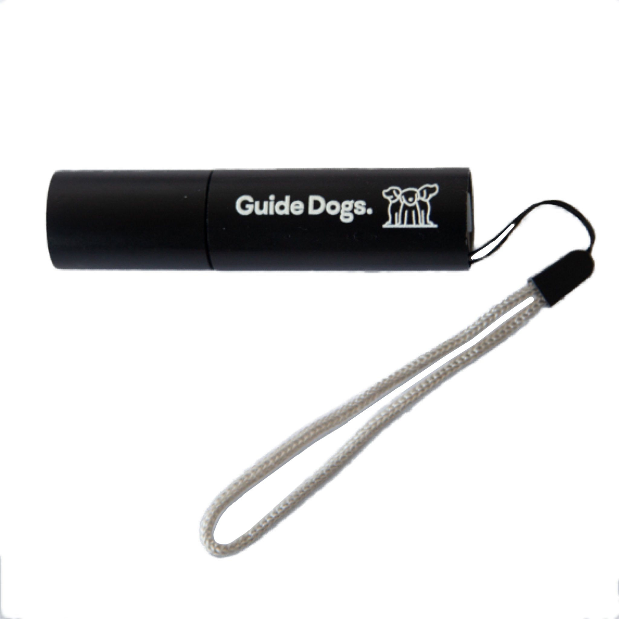 Guide Dogs Flash Torch