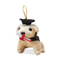 Mini Graduation Puppy