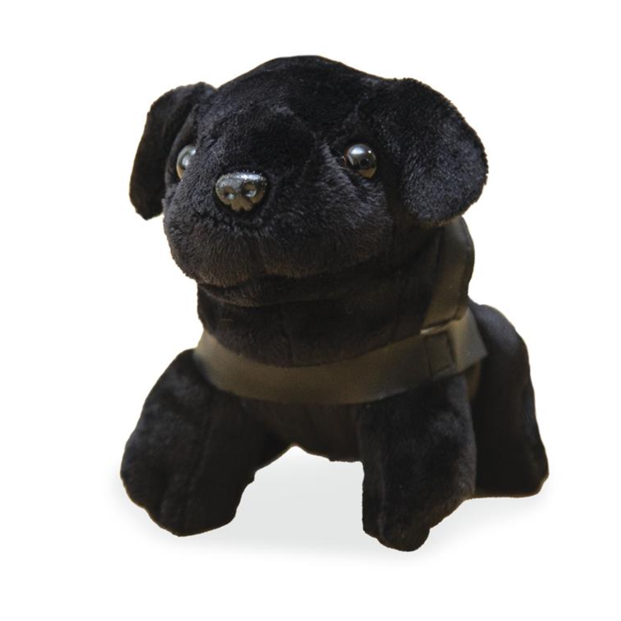 Black plush dog toy with a brown collar on a white background