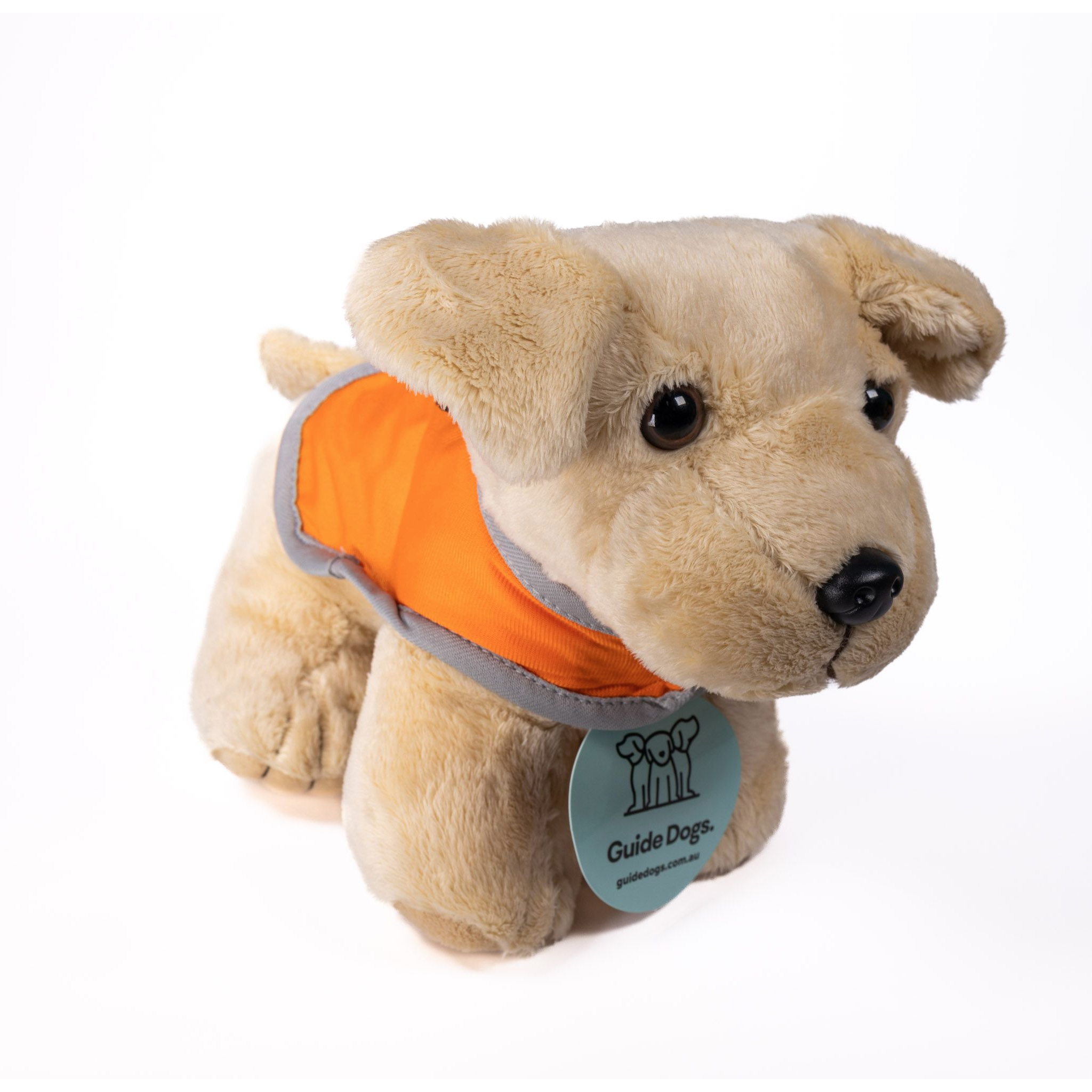 Plush Standing Puppy with Coat
