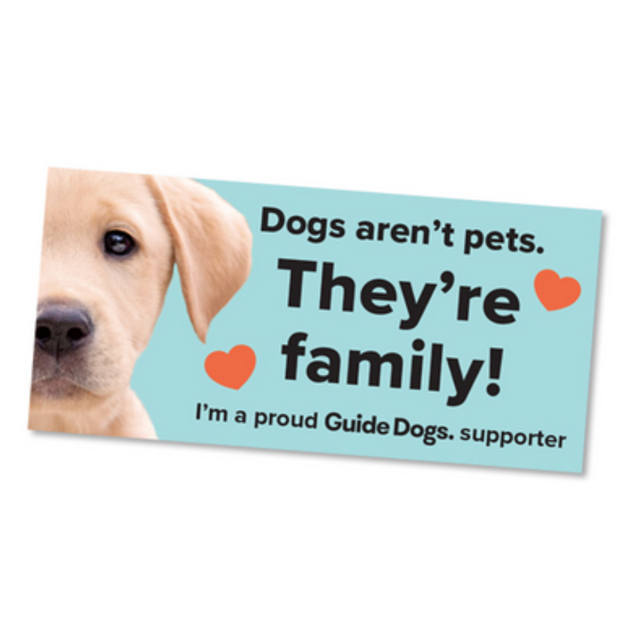 Guide Dogs Bumper Stickers