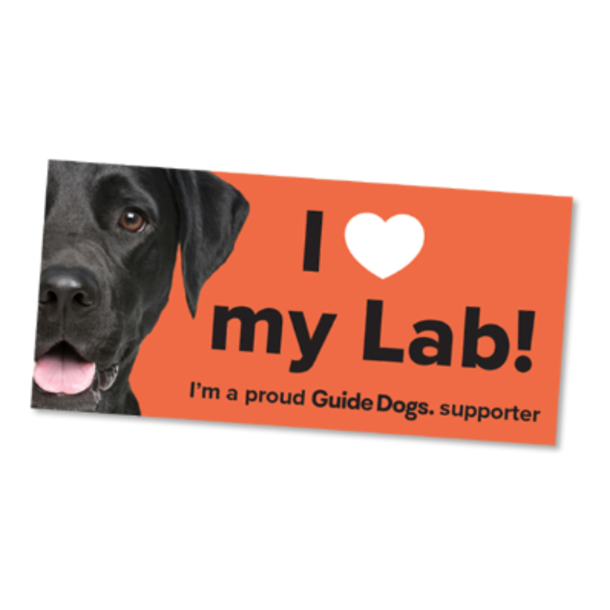 Guide Dogs Bumper Stickers